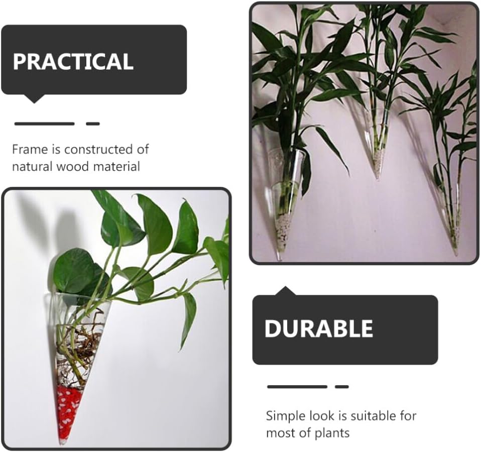 Operitacx Plantas 2 macetas colgantes de pared en forma de cono para plantas suculentas, macetas colgantes de vidrio terrario florero de flores