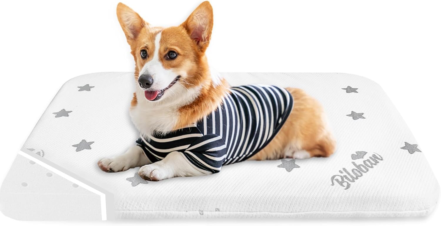 Biloban Camas para perros pequeños, cama impermeable para perros pequeños con funda extraíble lavable, almohadilla de cama de espuma para perros