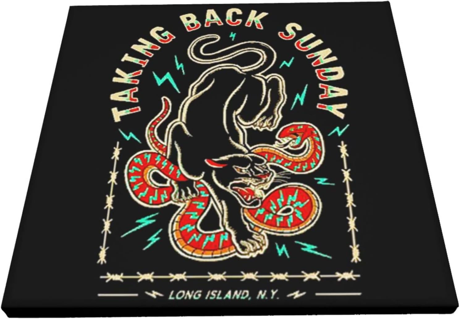 WEUED Póster artístico de Taking Rock Back Sunday Band de pintura en lienzo sin marco, pinturas decorativas adecuadas para decoración de pared del