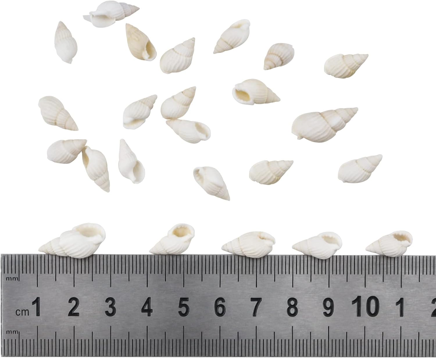 WANDIC Mini caracolas naturales, paquete de 8.82 oz de cuentas de concha en espiral blancas para playa, conchas marinas, manualidades para tanque de
