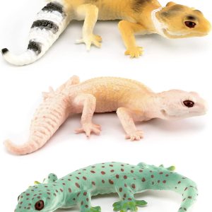 Figuras de juguete de camaleón, figuras de lagarto realistas, 3 piezas, figuras de animales del bosque tropical, modelo de proyecto escolar para Figuras de juguete de camaleón, figuras de lagarto realistas, 3 piezas, figuras de animales del bosque tropical, modelo de proyecto escolar para