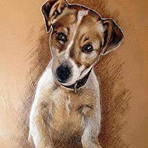 IPISSOI Kits de pintura de diamantes para adultos, niños y principiantes, kit de pintura de diamantes por números, Jack Russell Terrier, regalo para IPISSOI Kits de pintura de diamantes para adultos, niños y principiantes, kit de pintura de diamantes por números, Jack Russell Terrier, regalo para