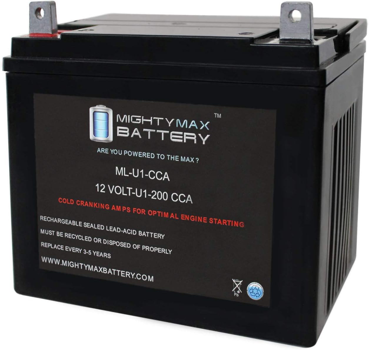 Mighty Max Battery Batería ML-U1 12V 200CCA para cortacésped CubCadet RZT-54 KH
