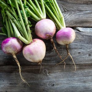 David’s Garden Seeds Globo blanco 7744 (multicolor) 200 sin OMG, semillas de reliquia David’s Garden Seeds Globo blanco 7744 (multicolor) 200 sin OMG, semillas de reliquia