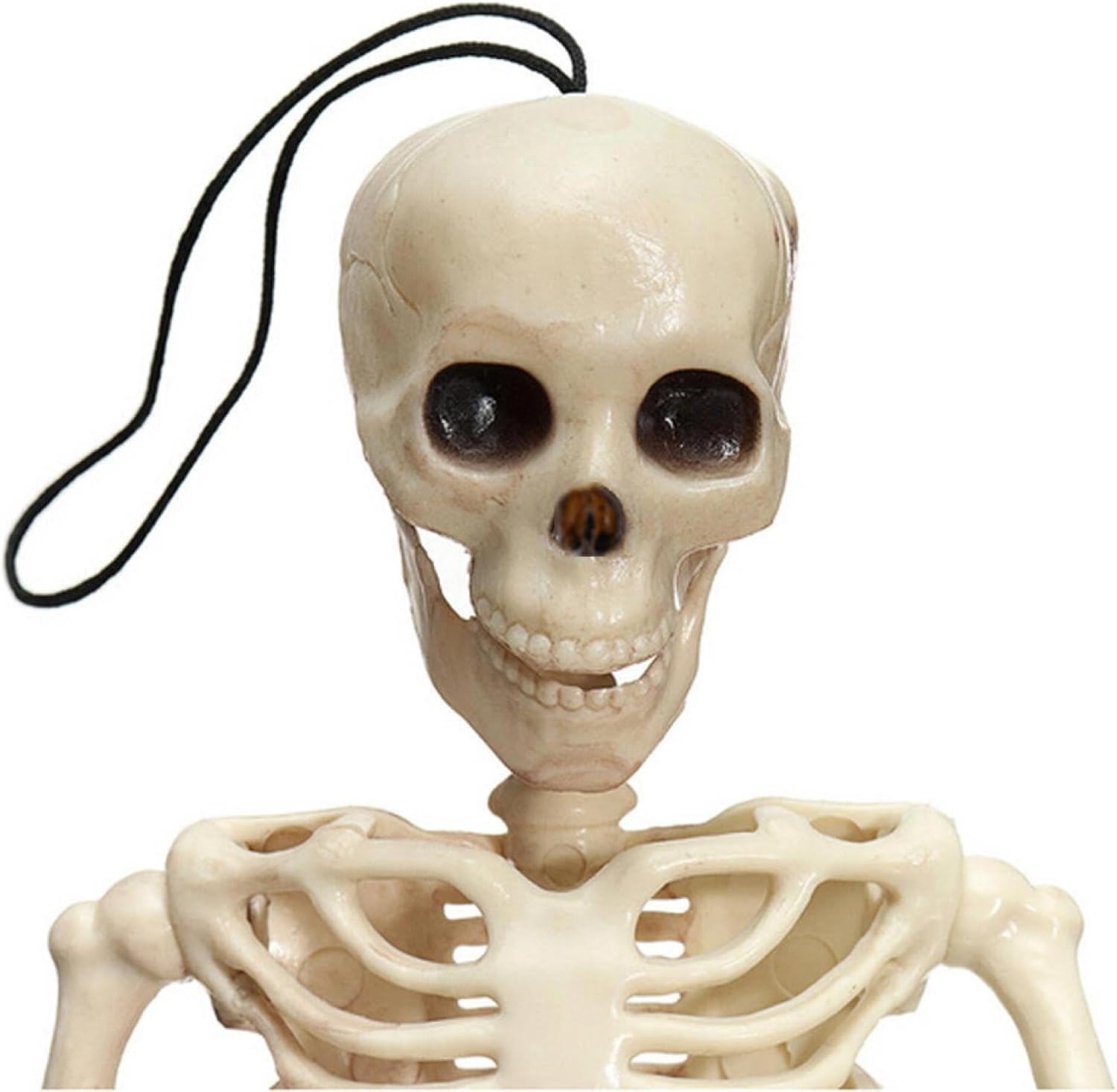 Esqueletos humanos de tamaño real para Halloween, esqueletos para adultos, huesos humanos de plástico con articulaciones móviles (blanco)