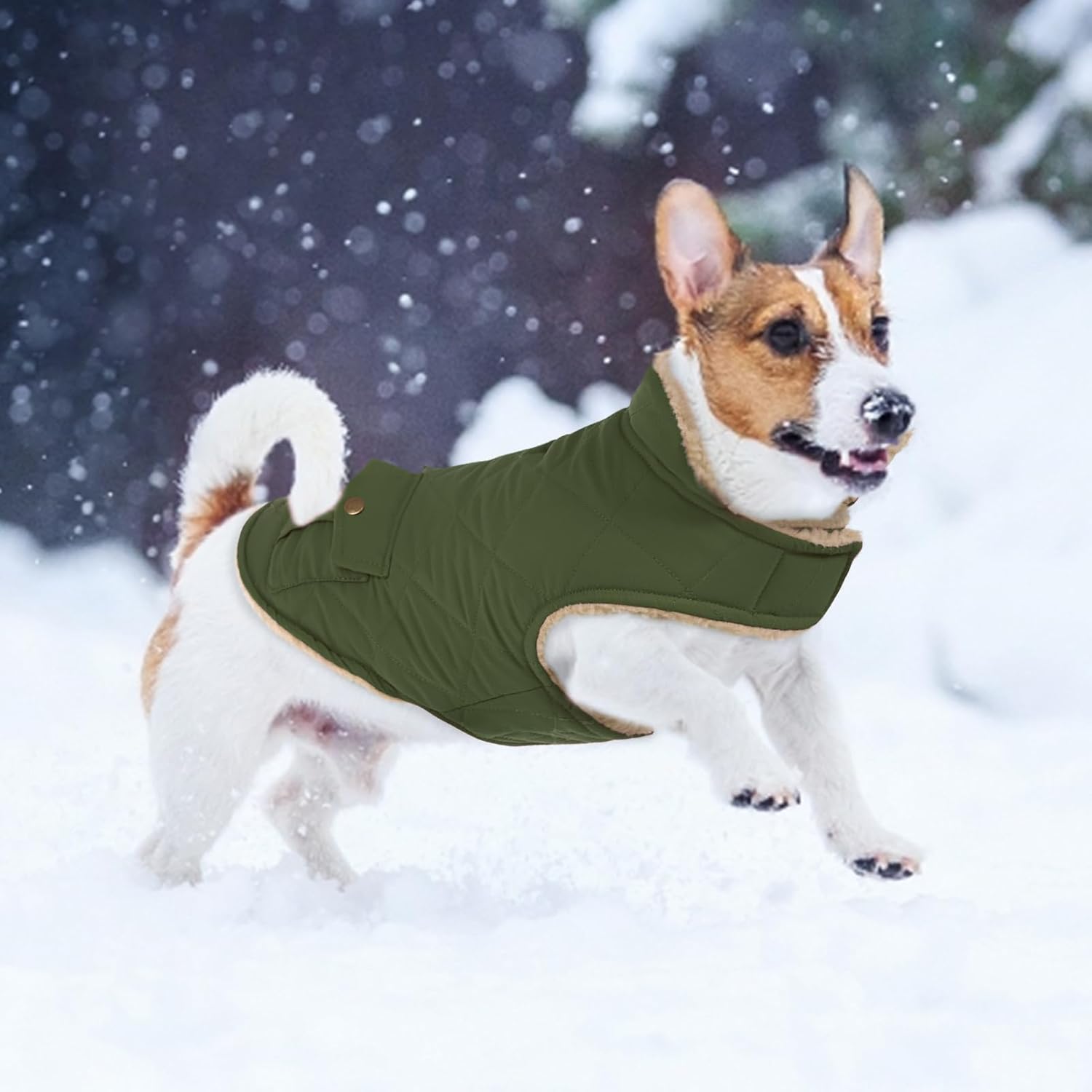 ASENKU Abrigo cálido de invierno para perro, forro polar y cuello alto, chaqueta acolchada con bolsillos, impermeable, ropa para clima frío para