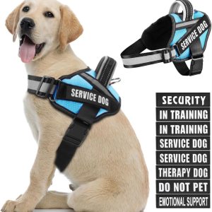 in Training – Juego de arnés y parches para perro, arnés para perro con 8 parches para perros, chaleco reflectante con asa para perros pequeños, in Training – Juego de arnés y parches para perro, arnés para perro con 8 parches para perros, chaleco reflectante con asa para perros pequeños,