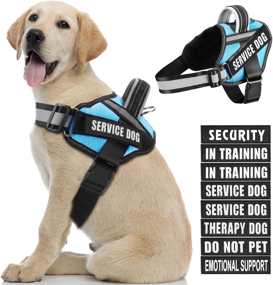 in Training – Juego de arnés y parches para perro, arnés para perro con 8 parches para perros, chaleco reflectante con asa para perros pequeños,