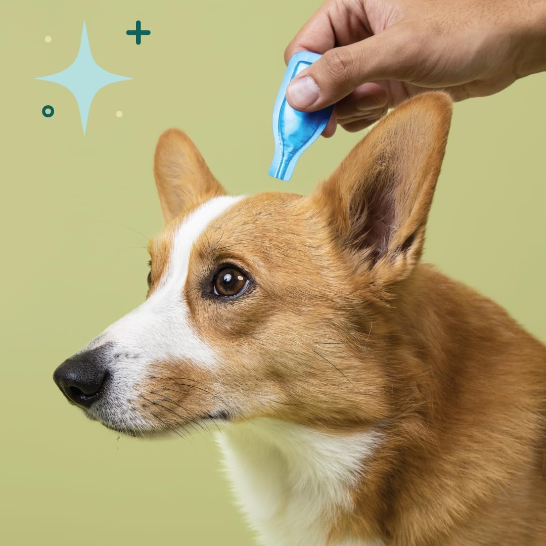 Valeriana calmante Spot On para perros 3 aplicaciones, conveniente tópico semanal que promueve la calma y la relajación