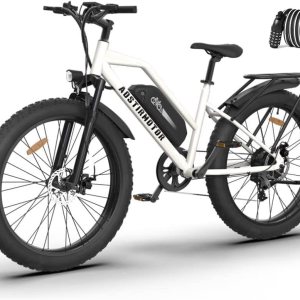 aostirmotor Bicicleta eléctrica de 750 W para adultos 48 V 13 AH Fat Tire Ebike con estante y guardabarros, bicicletas eléctricas de 26 x 4 aostirmotor Bicicleta eléctrica de 750 W para adultos 48 V 13 AH Fat Tire Ebike con estante y guardabarros, bicicletas eléctricas de 26 x 4