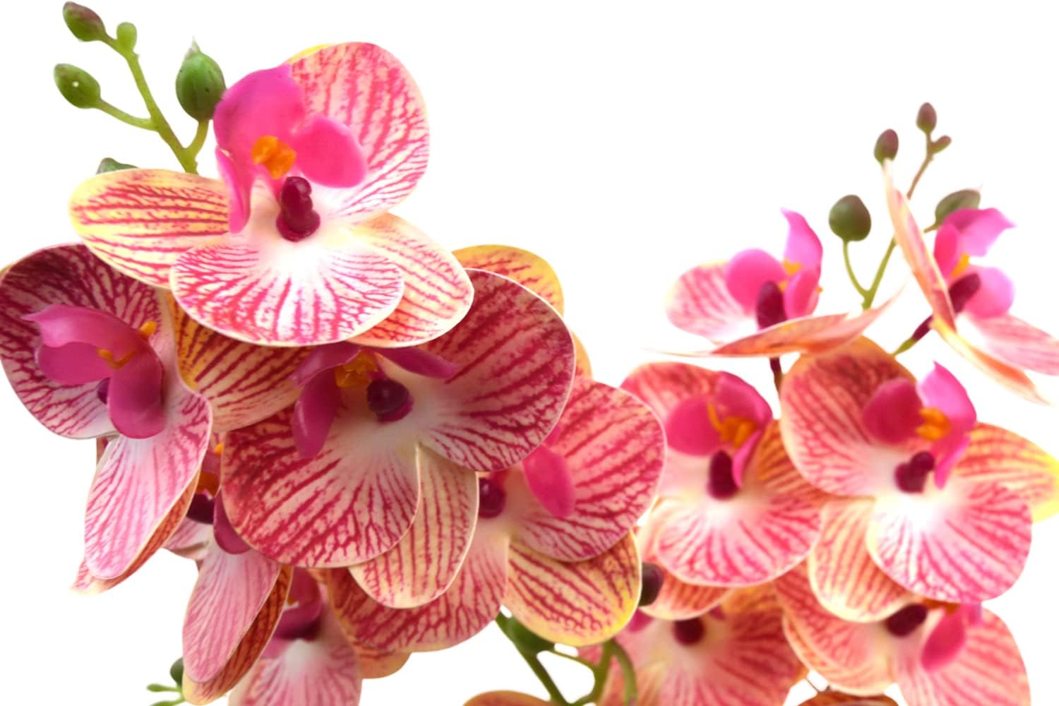 Aobear Orquídea para flores artificiales, arreglo de orquídeas, plantas artificiales decorativas de seda Phalaenopsis orquídea flor con jarrón de