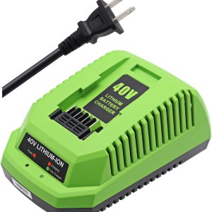 Cargador de repuesto compatible con Greenwks 40V cargador de batería de iones de litio 29482 29462 29472 2901319 2938302 BAF702 L-300 BAF704 BAF705 Cargador de repuesto compatible con Greenwks 40V cargador de batería de iones de litio 29482 29462 29472 2901319 2938302 BAF702 L-300 BAF704 BAF705