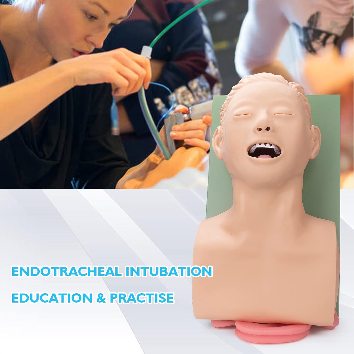 ANNWAH Maniquí de simulador de intubación traqueal Manejo de las vías respiratorias Ayuda de enseñanza con tubo endotraqueal, modelo humano de