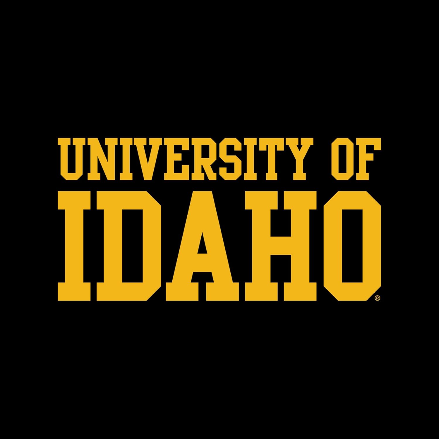 NCAA – Universidades con licencia oficial – camiseta con capucha de equipo universitario básica, lisa