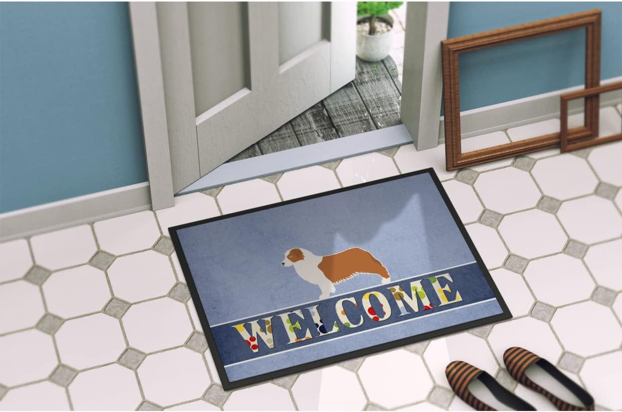 Caroline’s Treasures BB5537JMAT – Felpudo de bienvenida para perros de pastor australiano, alfombra para interiores o exteriores, 24 x 36 pulgadas,