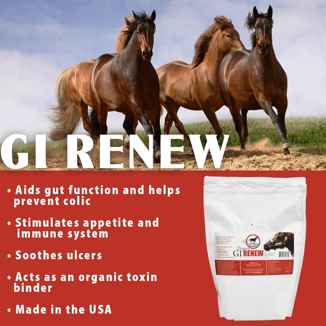 GI Renew, probióticos para estimulación equina, inmune y del apetito, prebióticos, enzimas digestivas  Suplemento para caballos que proporciona