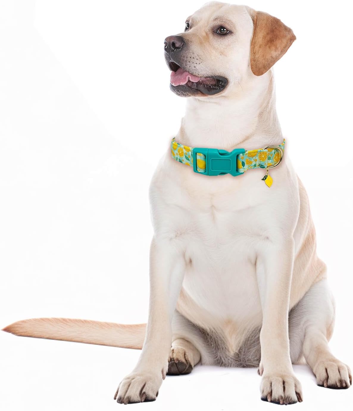 Gelwoo Lindo collar de perro ajustable y ligero para hembras, hembras, hembras, collar de verano suave y elegante con diseño especial de limón,