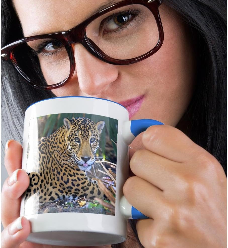 3dRose Taza _ _ _ _ _ _ _ _ _ _ 141689_ _ _ _ _ _ _ _ _ _ 6″ Central America Jaguar Costa Rica SA22amr0015Andres Morya Hinojosa “Dos Tono Azul Taza
