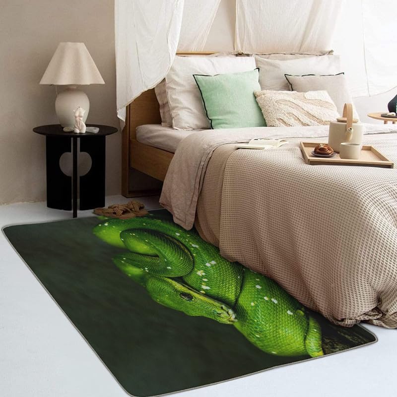 Alfombra de 2 x 3 pies, alfombra de área pequeña de serpiente, lavable para entrada, sala de estar, dormitorio, alfombra de reptil, antideslizante,