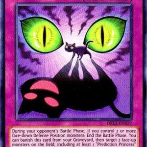 YU-GI-OH! – Black Cat-Astrophe (DRL2-EN037) – Dragons of Legend 2 – 1 Edición – Super Rare YU-GI-OH! – Black Cat-Astrophe (DRL2-EN037) – Dragons of Legend 2 – 1 Edición – Super Rare