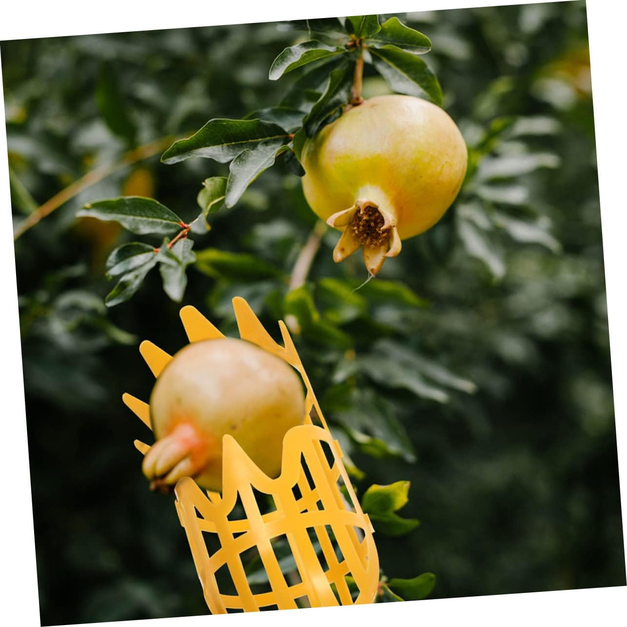 Cesta recogedora de frutas, 2 unidades, cesta de herramientas para recolección de frutas, cosechadoras de frutas, recogedor de frutas, contenedor de