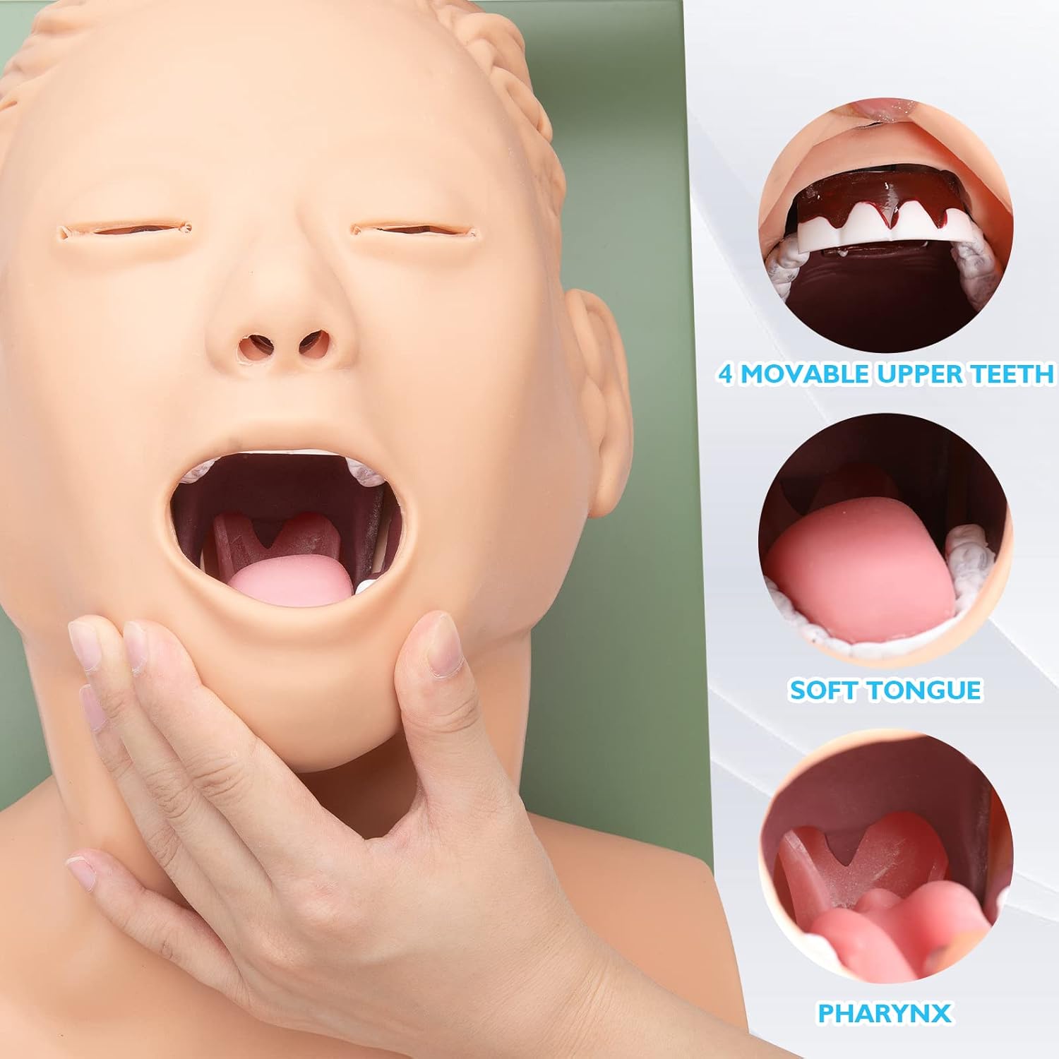 ANNWAH Maniquí de simulador de intubación traqueal Manejo de las vías respiratorias Ayuda de enseñanza con tubo endotraqueal, modelo humano de