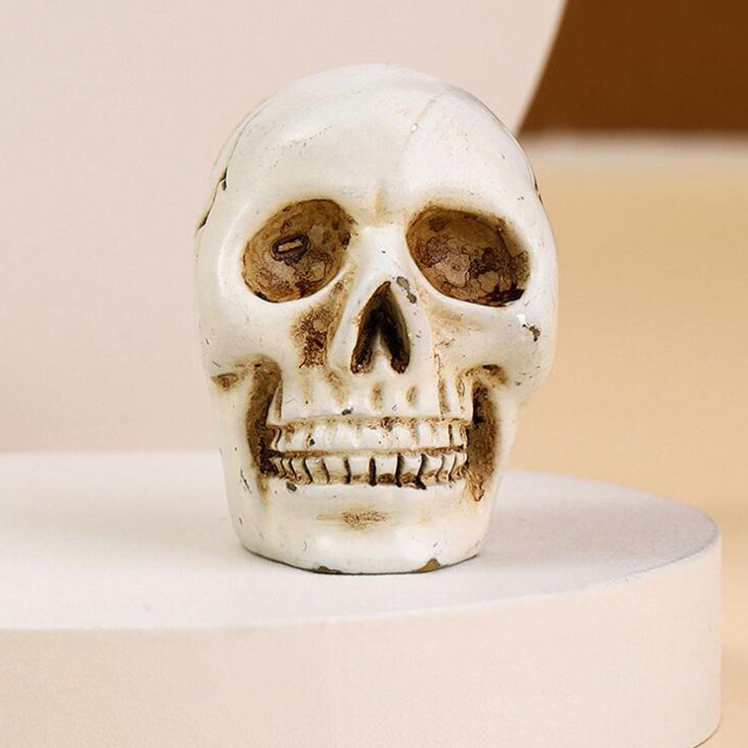 4 piezas de lindo clip para tarjetas en la parte superior de la mesa, cráneo de resina, modelo de réplica de calavera humana realista para