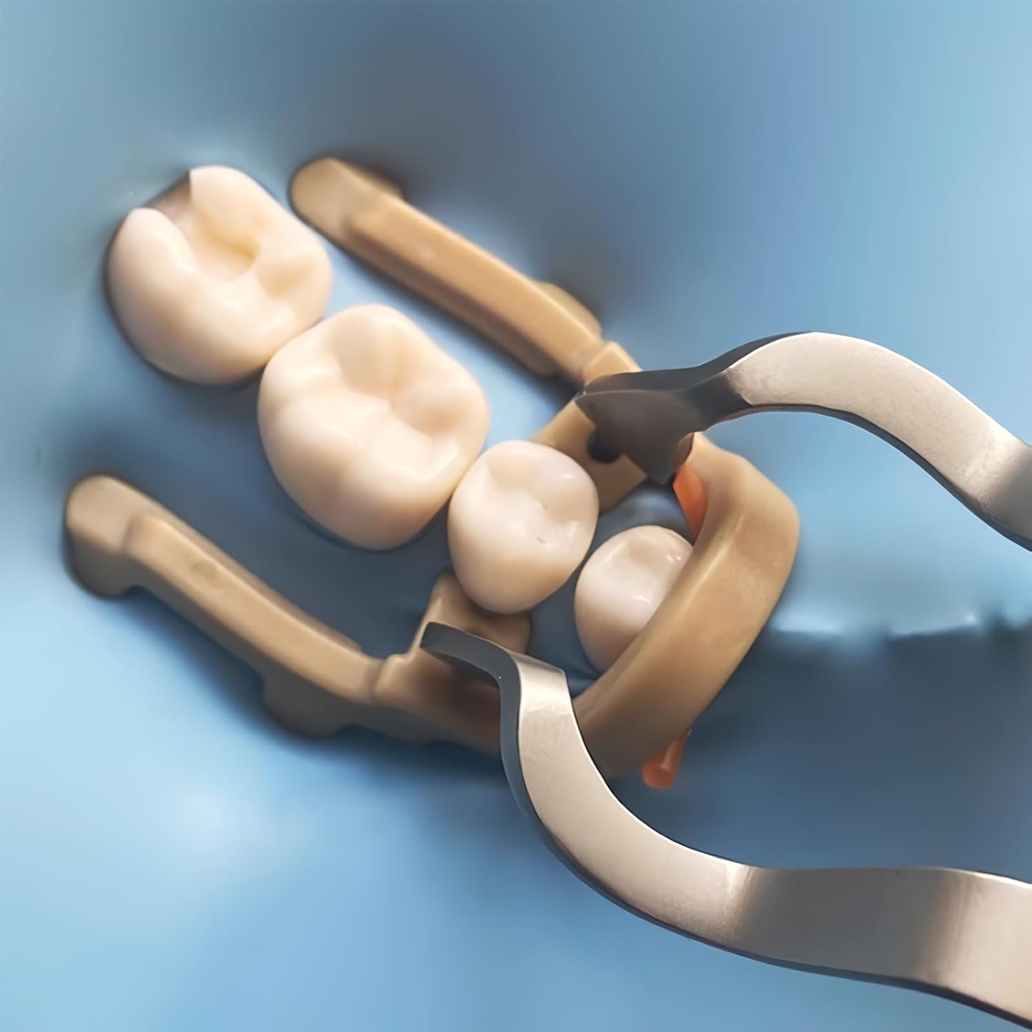 Abrazaderas dentales de la presa de goma, clip de resina premolar distal dental hojas de goma clips de barrera, herramientas de reparación de