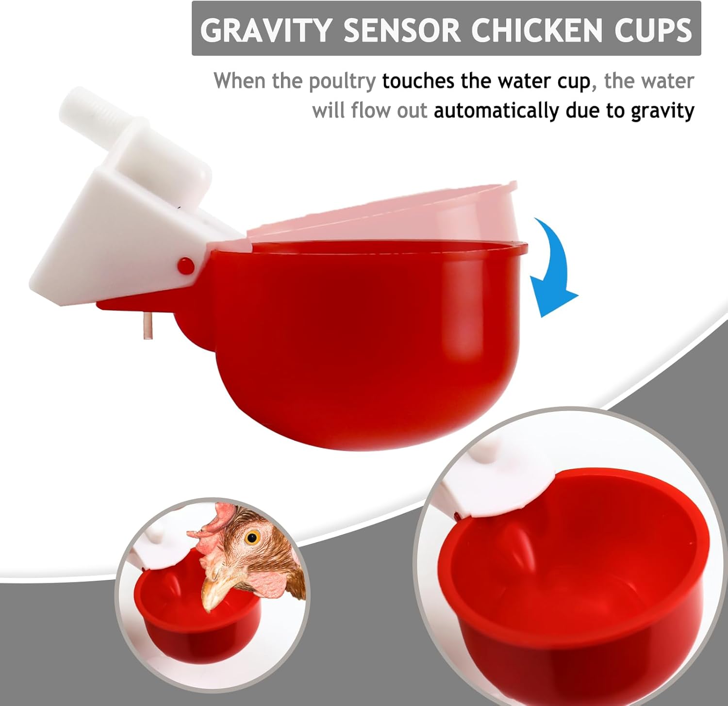 Vasos para bebederos de pollo, 4 paquetes  Tazas de riego para aves de corral con accesorios en T de 12 pulgada, tuerca, cinta de teflón  Sensor de