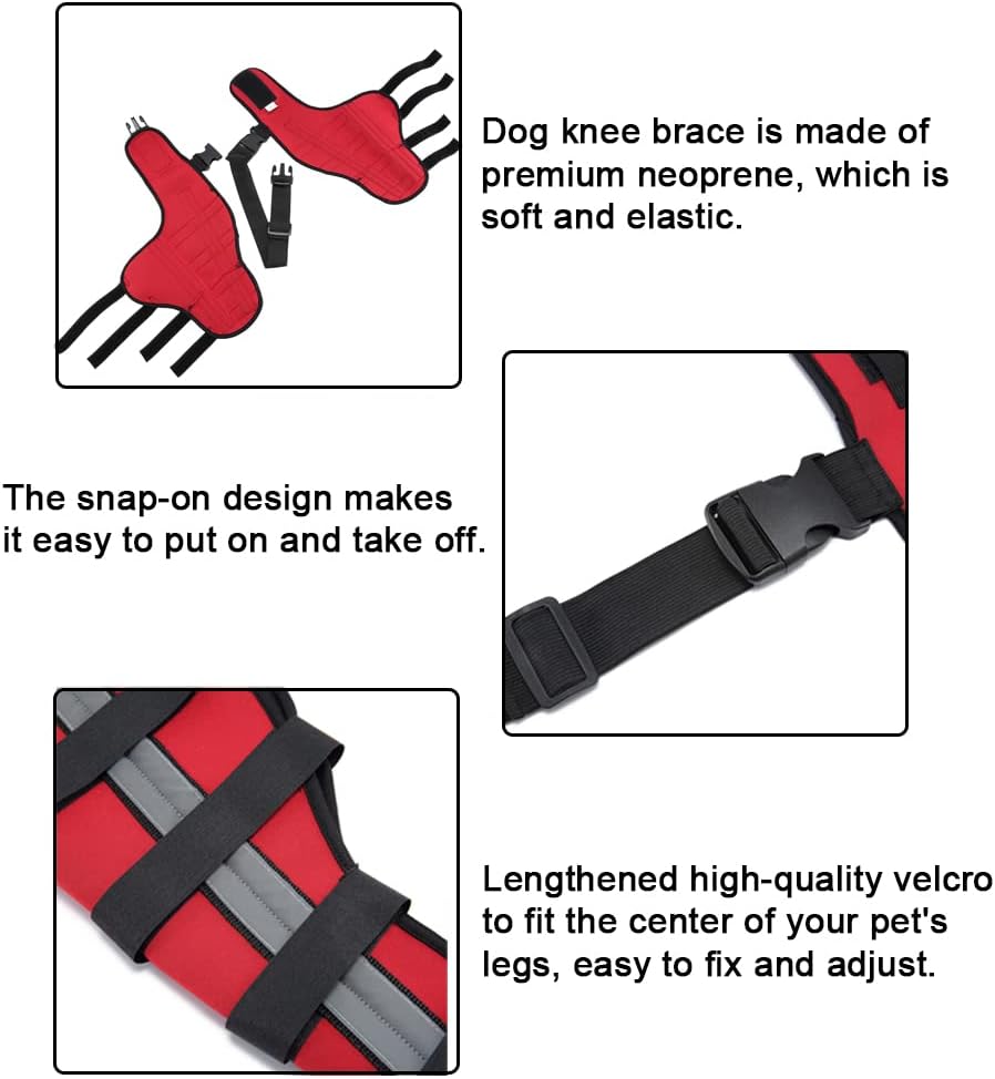 Rodillera ajustable para perro con doble pierna trasera con bisagras de metal soporte flexible y cinturones de seguridad reflectantes, soporte para