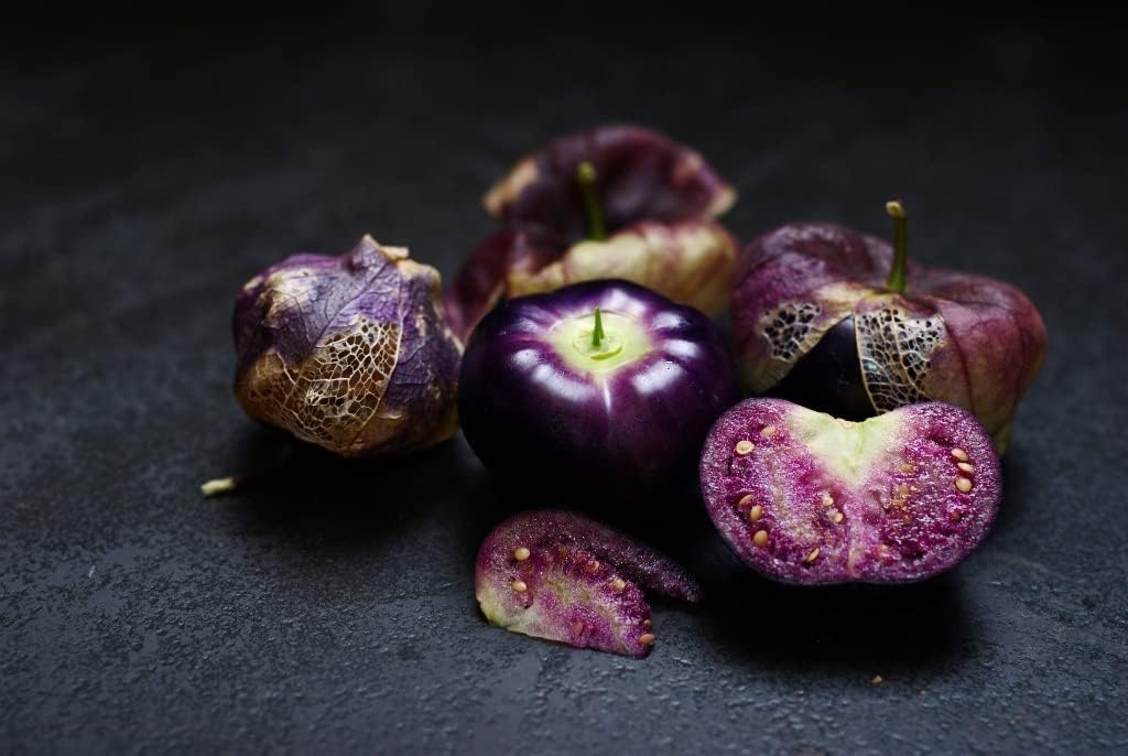 Semillas de tomatillo morado para plantar más de 50 semillas para plantar semillas de jamberry de tomate de cáscara mexicana sin OMG