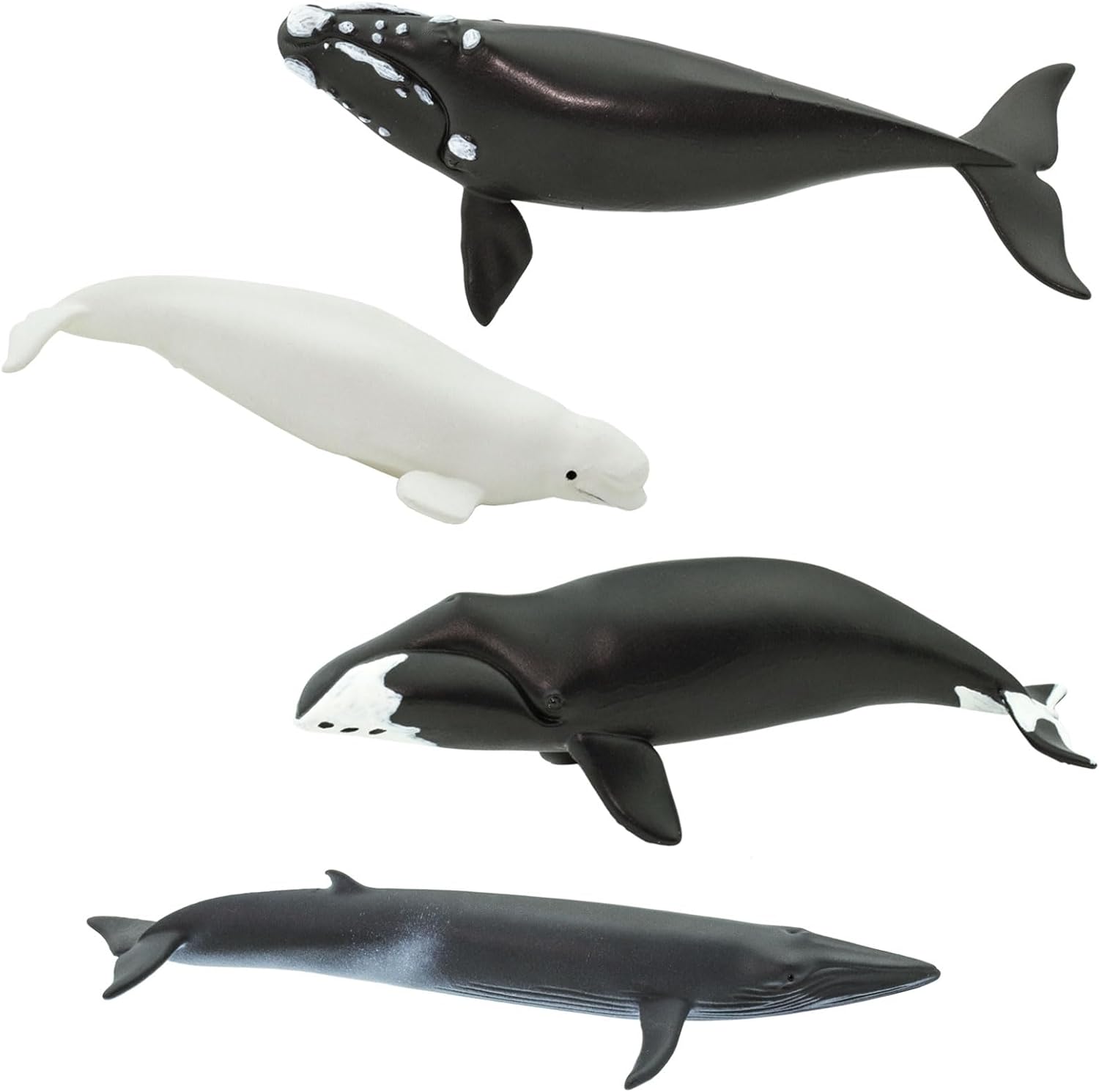 Safari Ltd. Whale TOOB – Juego de figuras detalladas de plástico de 2.5 a 4 pulgadas, divertido juguete educativo de animales oceánicos para niños,