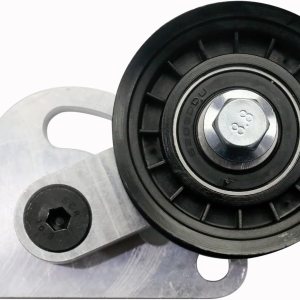 LS1 Tensor de correa manual de motor con polea compatible con 1998-2002 Camaro Z28 SS Firebird Formula Trans Am WS6 LS LS2 GTO Aluminio LS1 Tensor de correa manual de motor con polea compatible con 1998-2002 Camaro Z28 SS Firebird Formula Trans Am WS6 LS LS2 GTO Aluminio