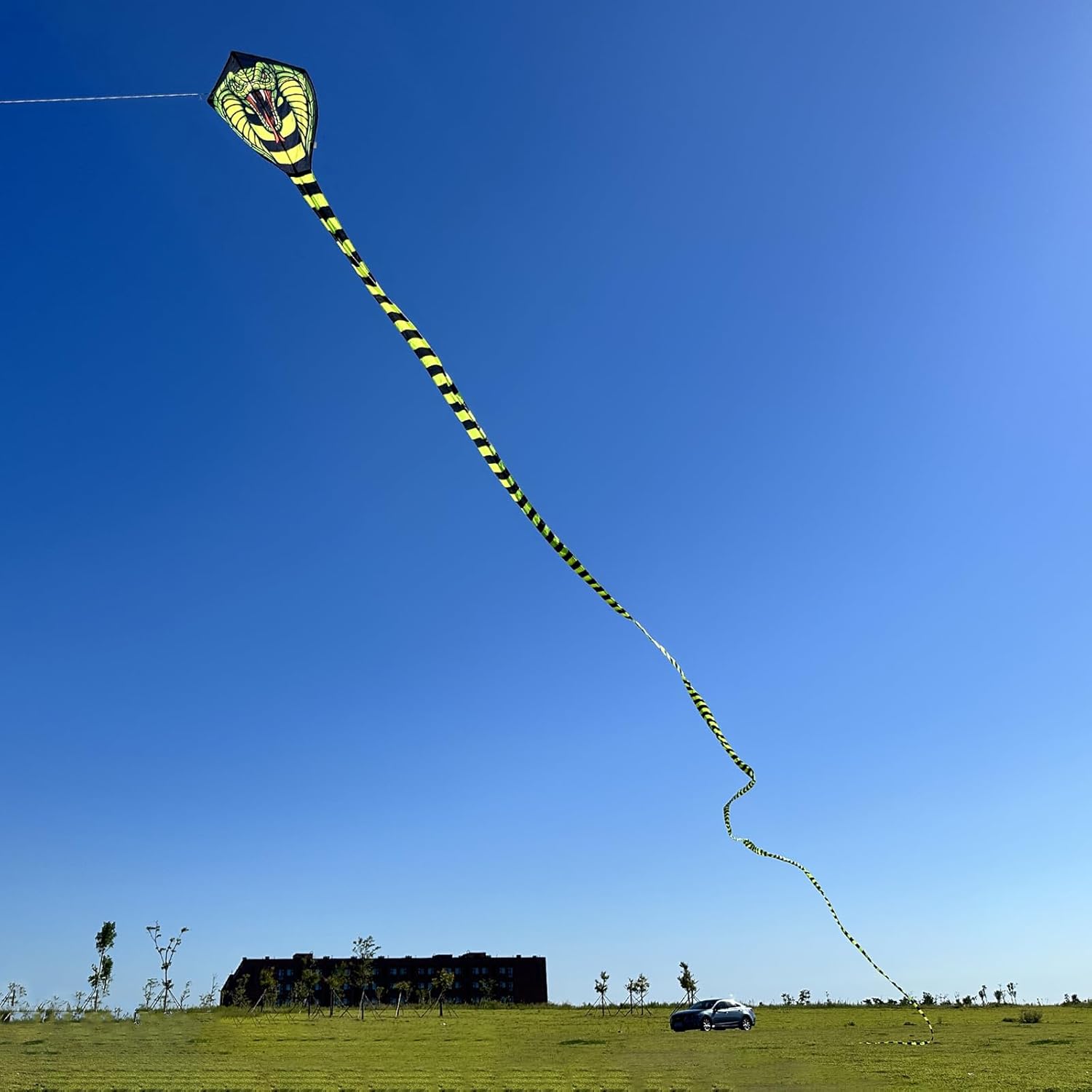 Large Cobra Kite for Adults Kids Boys with Super Long Tail, Extra Easy to Fly, Best Huge Kites for The BeachKite PartyFieldPark, It Will Dominate
