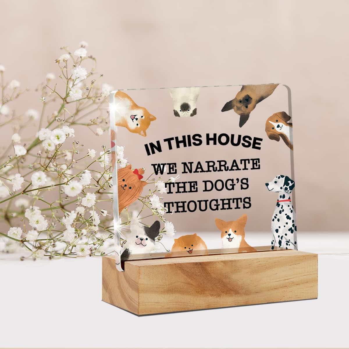 Letrero acrílico para escritorio con frase en inglés “Dog Quote in This Home We Narrate the Dog’s Thoughts”, decoración de escritorio de acrílico