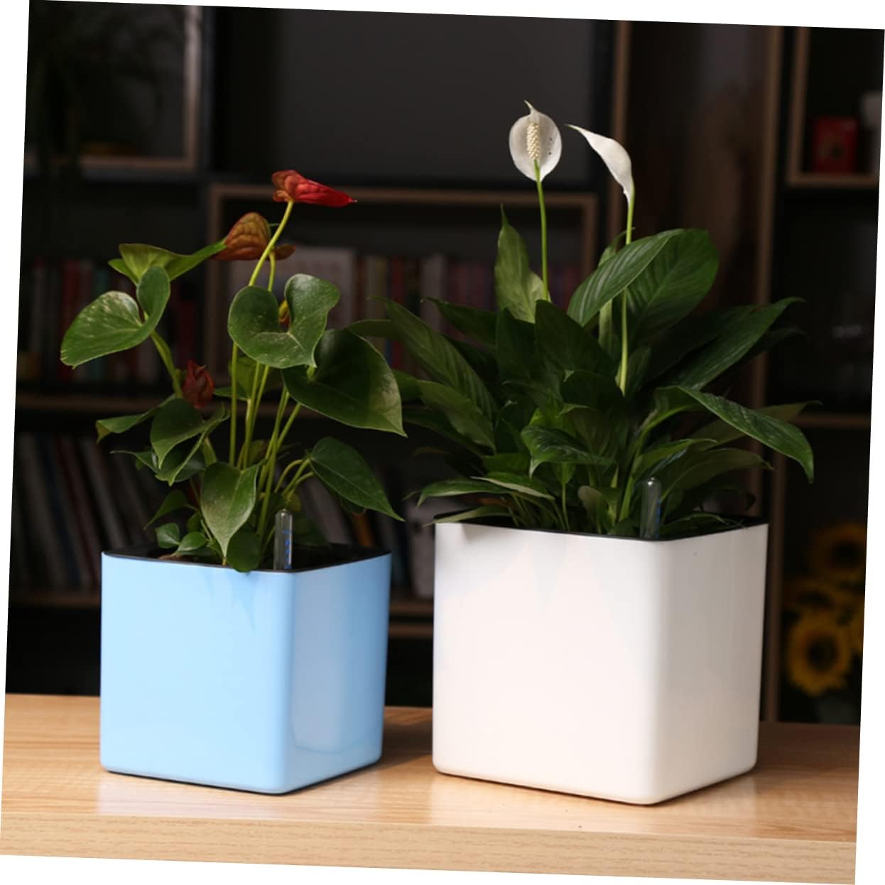 GANAZONO 4 unidades, 1 juego de macetas de riego automático, maceta hidropónica para plantas suculentas, macetas para plantas de interior, macetas