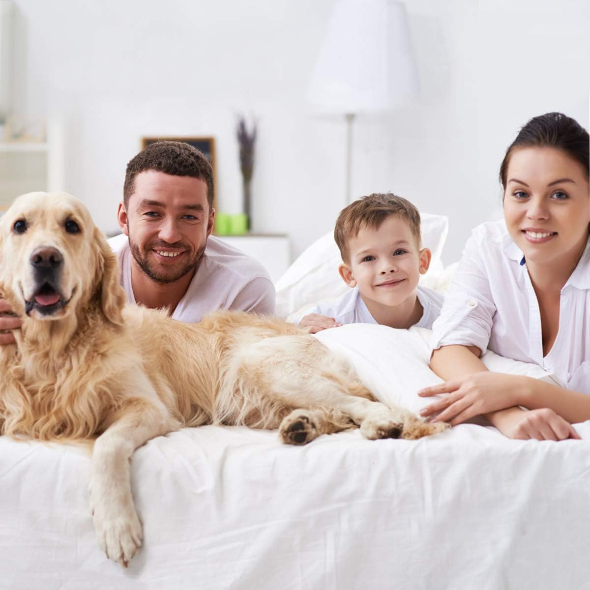 HOMEIDEAS Juego de sábanas de 6 piezas de microfibra cepillada extra suave de 1800 hilos, con bolsillo profundo, sin arrugas ni decoloración (tamaño