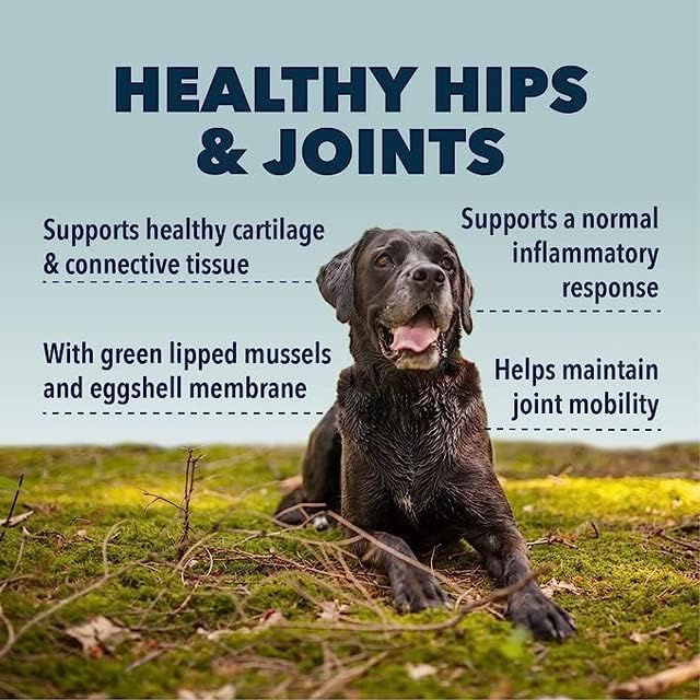 Cadera y articulaciones, apoyo para la movilidad y las articulaciones con glucosamina y condroitina para perros, 2.4 onzas, suministro de 22 a 60