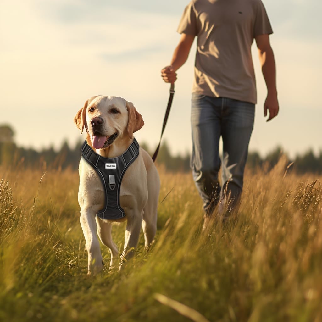 WindyTails Arnés para perro grande, mediano y extra grande, antitirones, para perros grandes, medianos y medianos con clip frontal, arnés ajustable