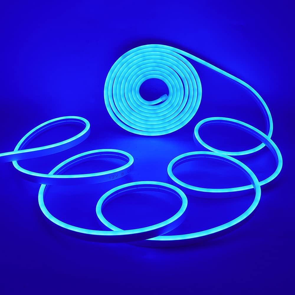 Xunata Tira de luces LED azules de 19.68 pulgadas, tira de luces LED de neón flexible para exteriores, DC 12V 2835 120LEDsM, barra de luz de