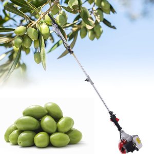 Recogedor de frutas vibratorio, alimentado por gasolina, motor de dos tiempos de 43 cc para aceitunas, nueces, granos de café Recogedor de frutas vibratorio, alimentado por gasolina, motor de dos tiempos de 43 cc para aceitunas, nueces, granos de café
