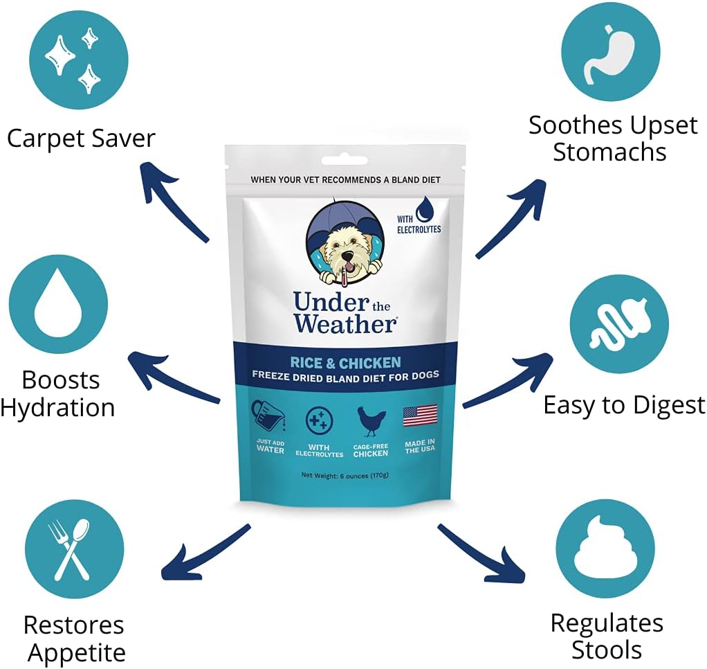 Under the Weather Dieta suave fácil de digerir para perros enfermos  Contiene electrolitos  Sin gluten, todo natural, carne liofilizada 100% de