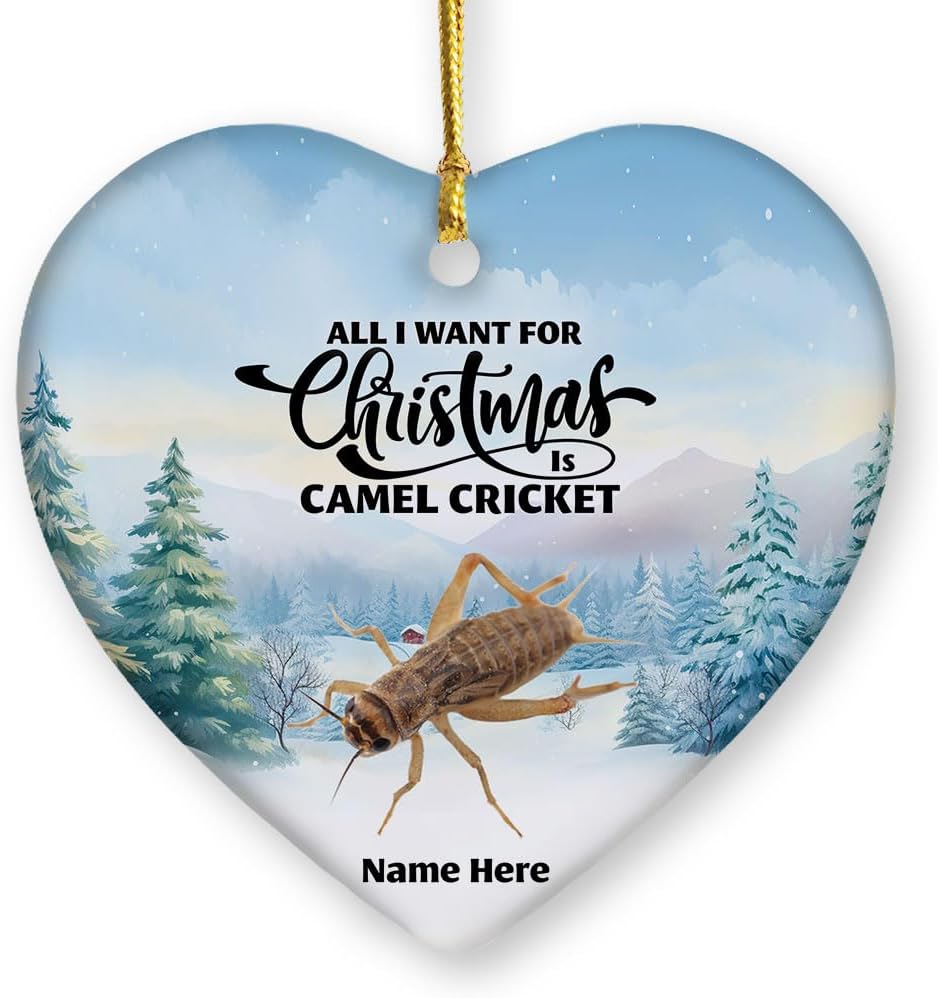 Adorno de regalo personalizado de grillo de camello 2023 para decoración del árbol de Navidad, regalos de recuerdo personalizados para dueños de