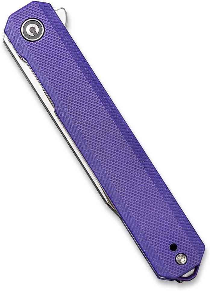 CIVIVI Chronic – Cuchillo de bolsillo plegable, cuchillo de caza de supervivencia al aire libre con hoja 9Cr18MoV de 3.22 pulgadas, mango G10,