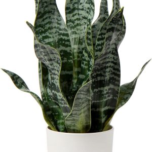Hollyone Planta artificial de serpiente artificial en maceta, Sansevieria Trifasciata, plantas artificiales tropicales de 17 pulgadas en macetas Hollyone Planta artificial de serpiente artificial en maceta, Sansevieria Trifasciata, plantas artificiales tropicales de 17 pulgadas en macetas