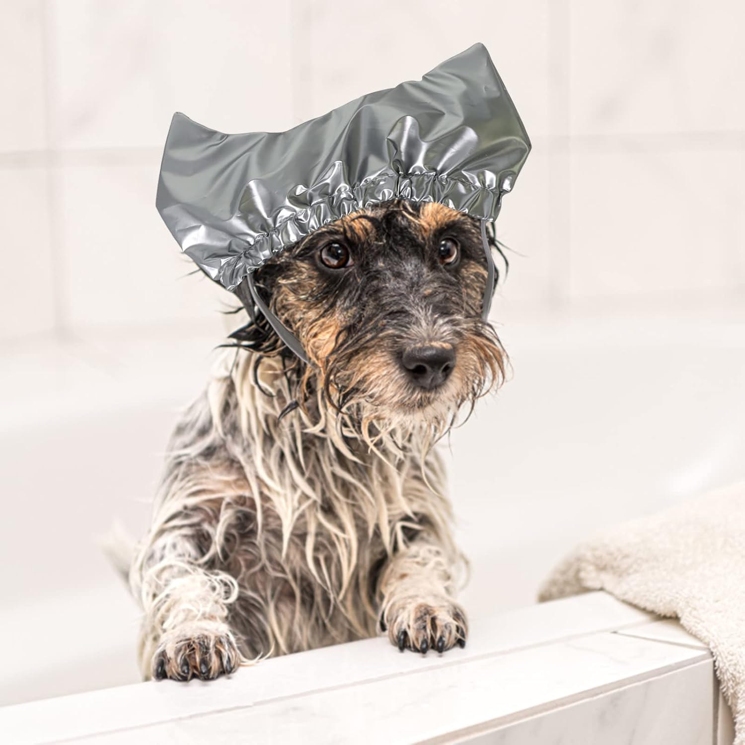 Disfraces de perro para perros medianos para orejas, gorra S con correa ajustable, ducha fija para mascotas, ducha, ducha, gorro para mascotas,