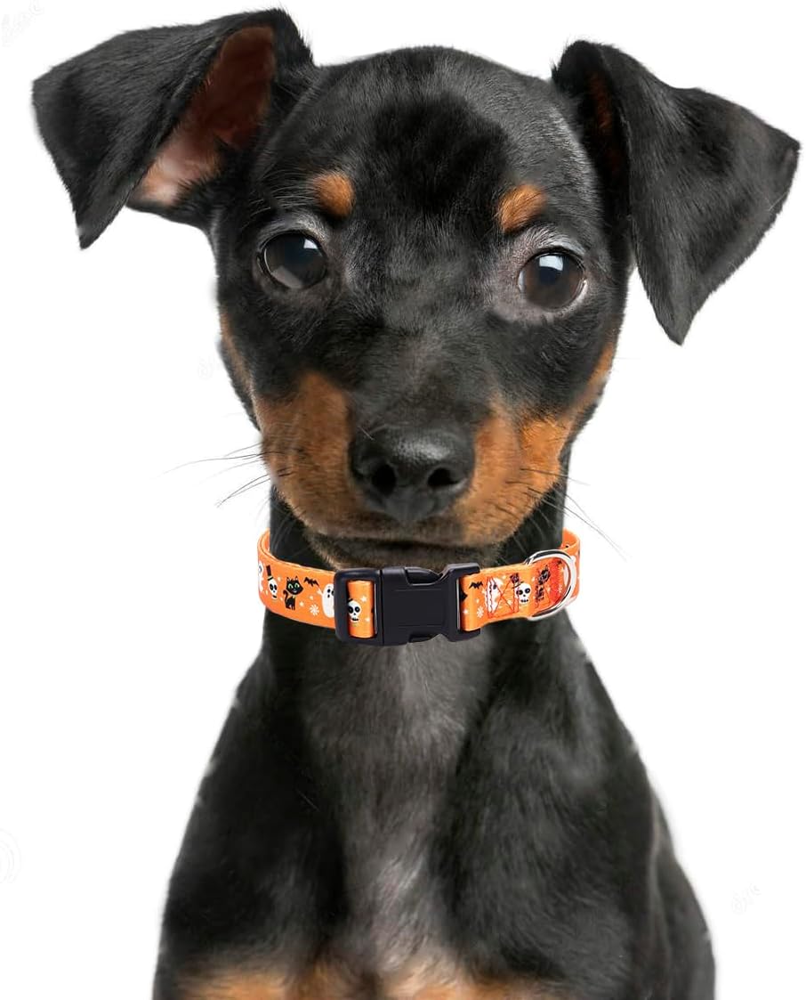 Moonpet Collares para perros pequeños, pequeños, medianos y grandes (estilo Halloween, M circunferencia de 12-18.5 pulgadas, 0.8 pulgadas de ancho 1