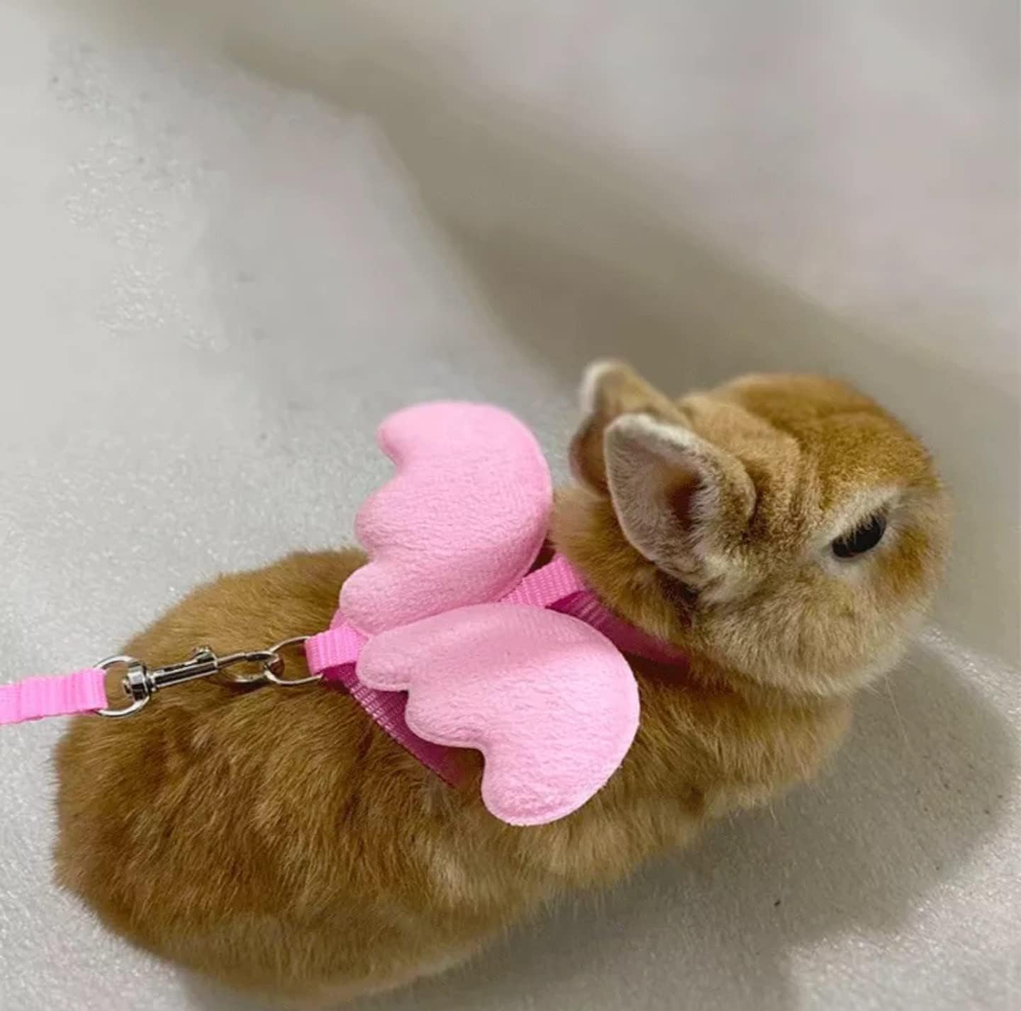 Accesorios para mascotas, correas a juego, juego de arnés de alas de ángel. Gatos, perros, conejos, hámsteres. Chaleco de malla ajustable con correa