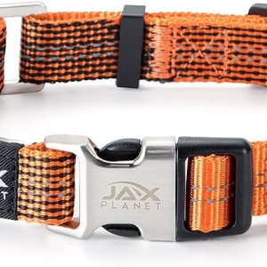 Collar de Martingala colorido para entrenamiento de perros, collar reflectante seguro y humano para entrenamiento sin tirones, caminar, anillo en D Collar de Martingala colorido para entrenamiento de perros, collar reflectante seguro y humano para entrenamiento sin tirones, caminar, anillo en D