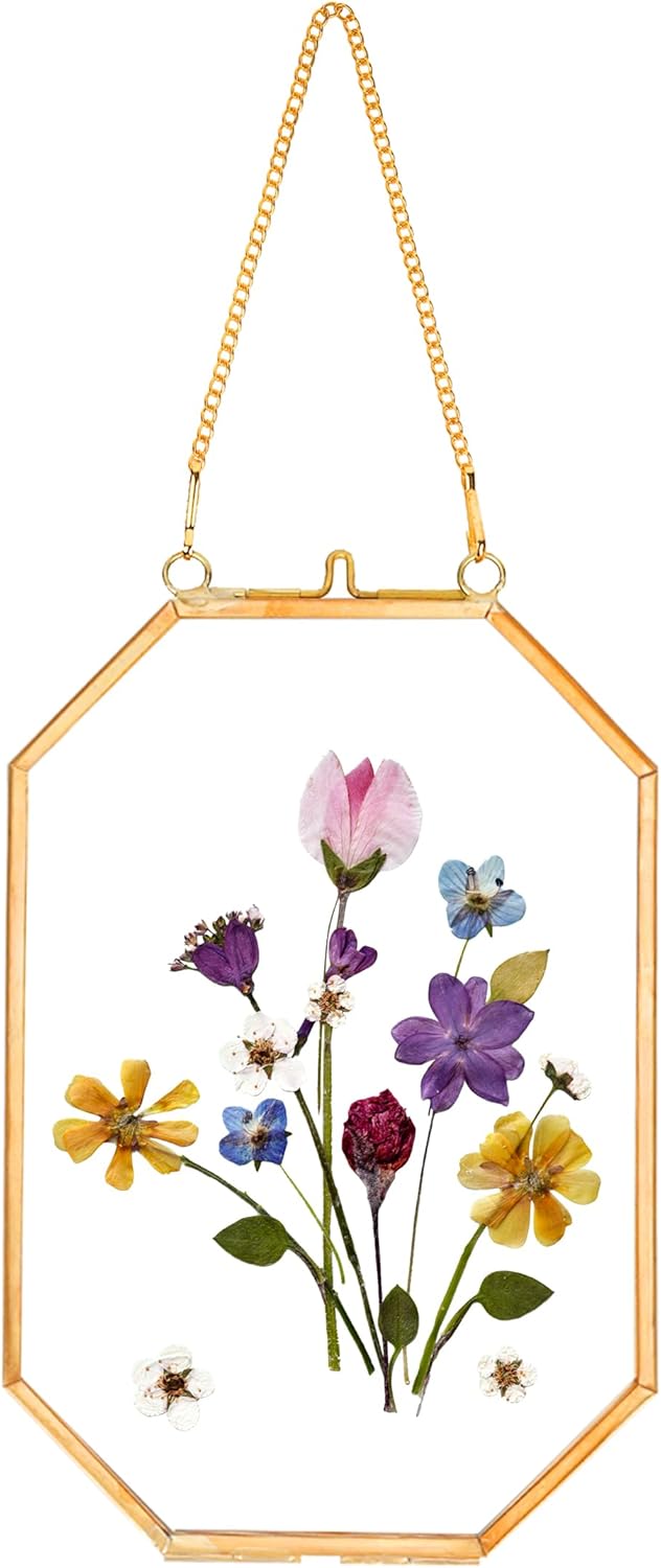 REDHUGO Marcos de flores prensadas, marcos flotantes de vidrio para exhibir imágenes de plantas secas, marco de fotos de latón colgante con cadena,